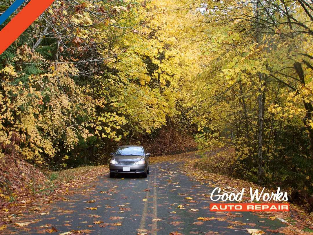 fall car care tips