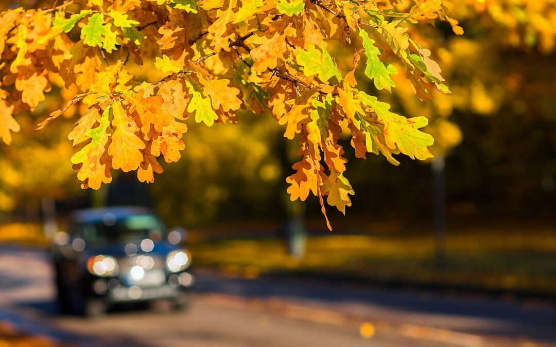 6 Essential Fall Car Care Tips