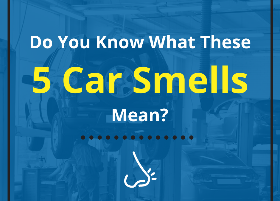 Do You Know What These 5 Car Smells Mean and How They May Indicate Something Is Seriously Wrong?